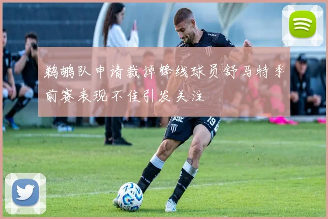 鹈鹕队申请裁掉锋线球员舒马特季前赛表现不佳引发关注