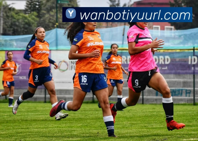 多媒体互动体验